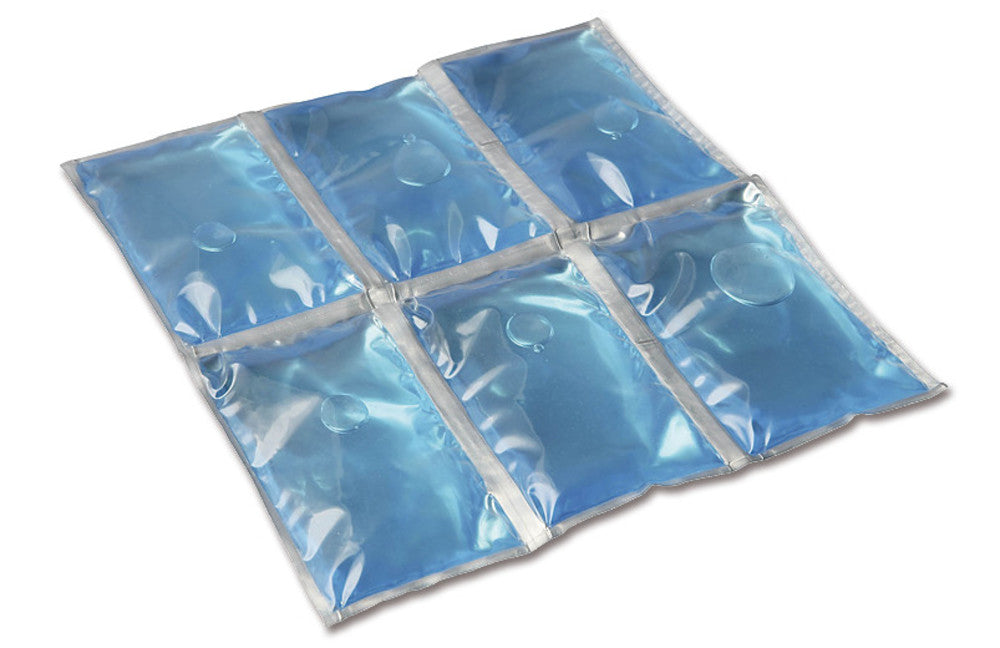 Flexi Freez'Pack®, 4x3 cooling segments, L 300 x W 240 x H 18 mm, 300 g - Luminix Health