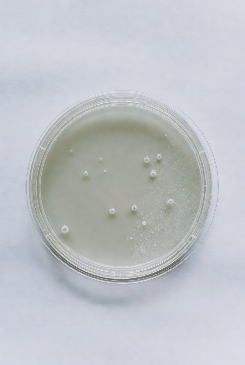 Letheen Agar modified, for microbiology, 500 g, plastic - Luminix Health