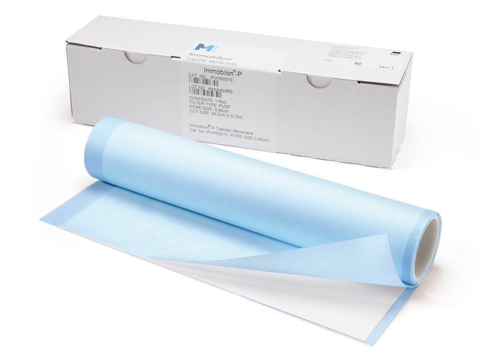 Immobilon-P, pore size 0,45 µm, roll, 375 x 30 cm, PVDF-membrane, 1 roll(s) - Luminix Health