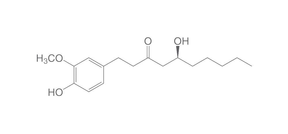[6]-Gingerol, ROTICHROM® HPLC, 10 mg, glass - Luminix Health