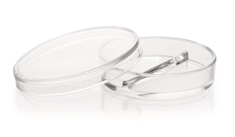 Petri dishes with partitions, DURAN®, Ø 100 x H 20 mm, with 2 partitions - Luminix Health