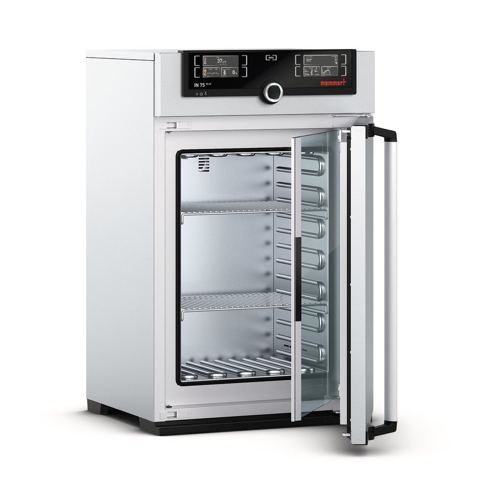 Incubator INplus 75, 74 l, max. 80 °C, nat. convection, 1 unit(s) - Luminix Health