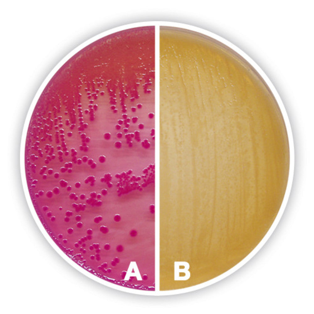MacConkey Agar, ISO 21567, for microbiology, 100 g, plastic - Luminix Health