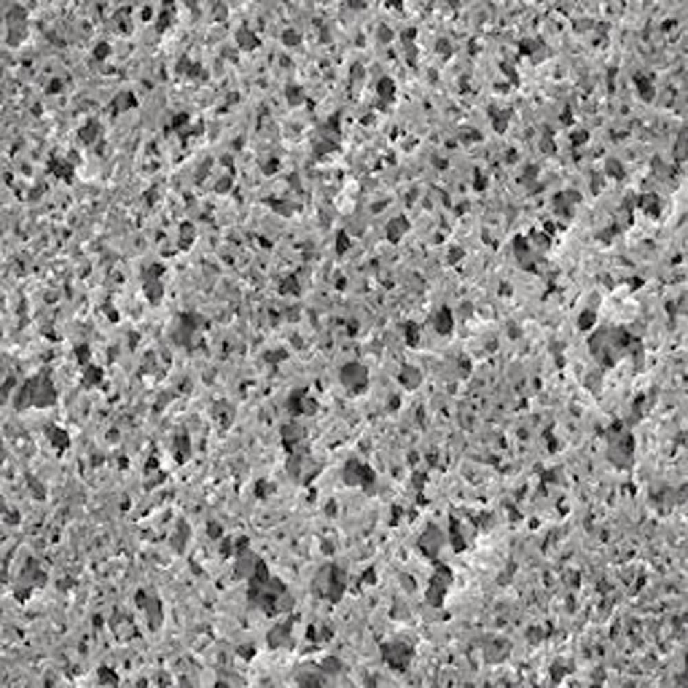 Nylon membrane filter, pore size 1,2 µm, membrane Ø 47 mm, 100 unit(s) - Luminix Health