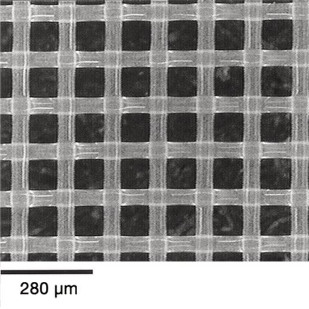 Nylon mesh filter, pore size 160 µm, membrane Ø 47 mm, 100 unit(s) - Luminix Health