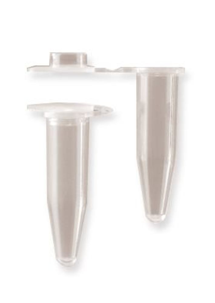 PCR reaction vials, 0,2 ml, attached flat caps, 1000 unit(s) - Luminix Health