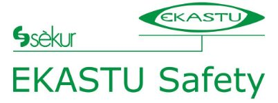 Ekastu