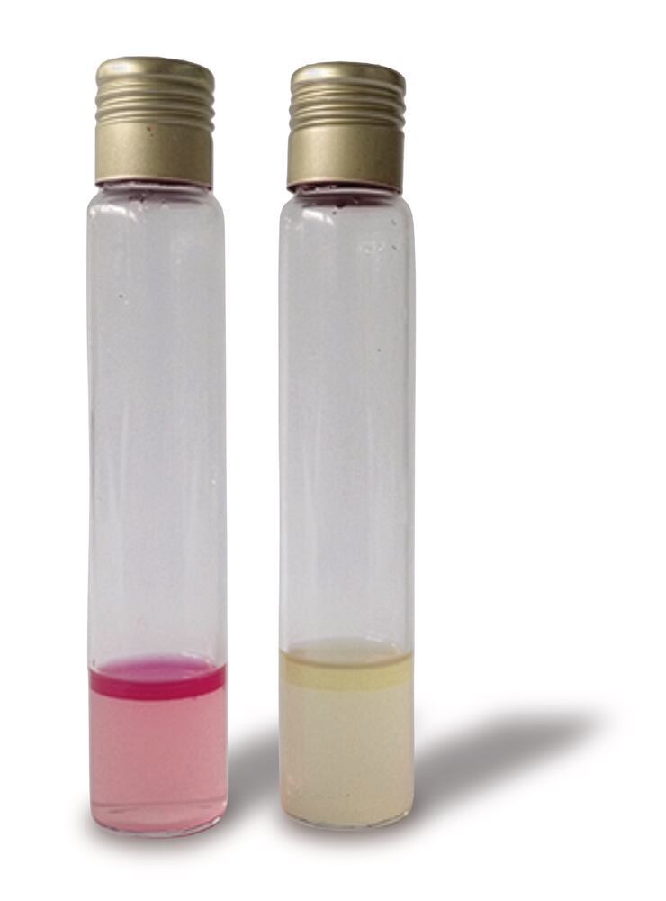 Tryptophane Culture Broth, DEV 500 g, Carl Roth, art. CP71.1