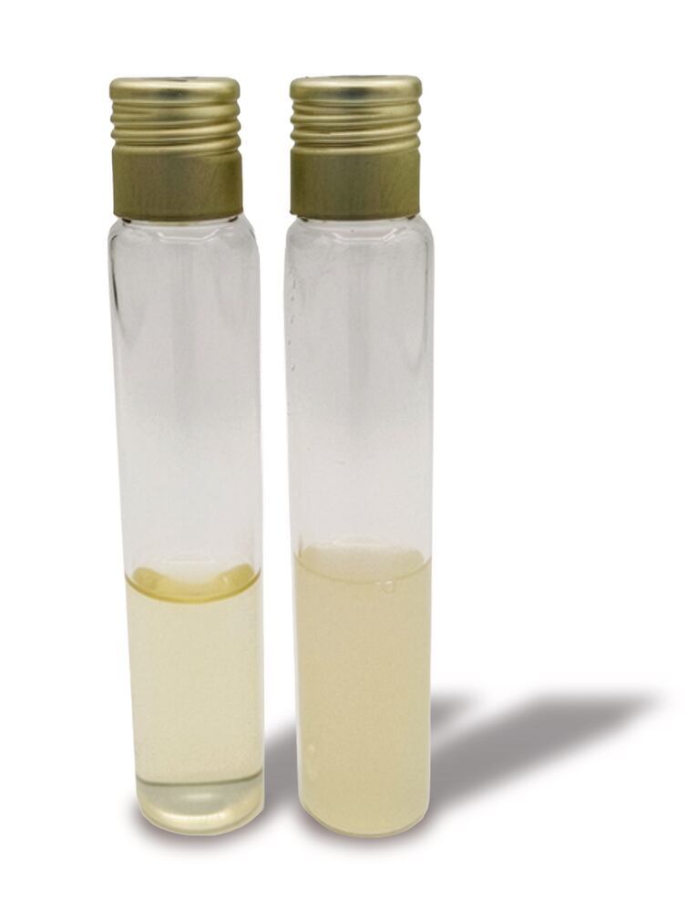 Potato Extract Glucose Broth