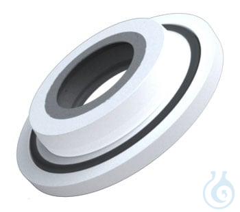 RV 10.8001, Seal, PTFE, stn. steel