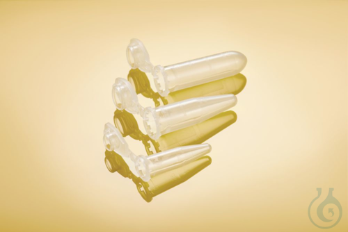 Safe-Lock 0.5 mL, BioB, Eppendorf Qual.