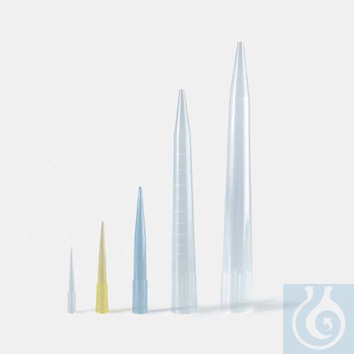 tips - economical - clear - 10 ml - type 2