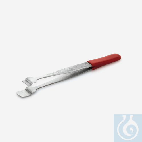 forcep - filter paper