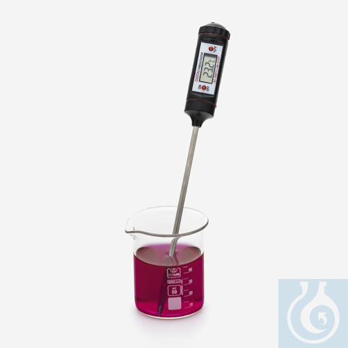 thermometer - portable