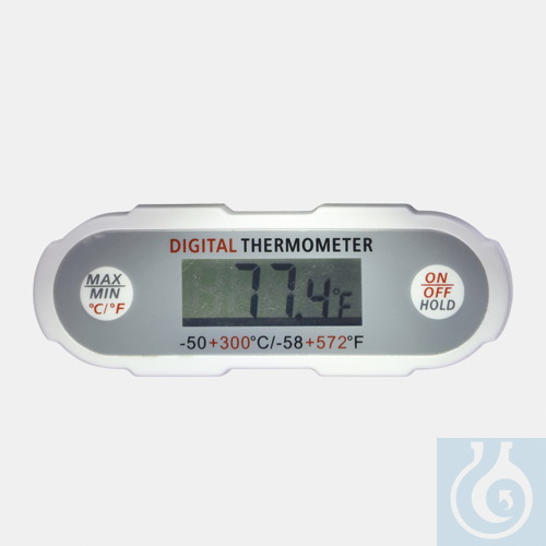 thermometer - portable