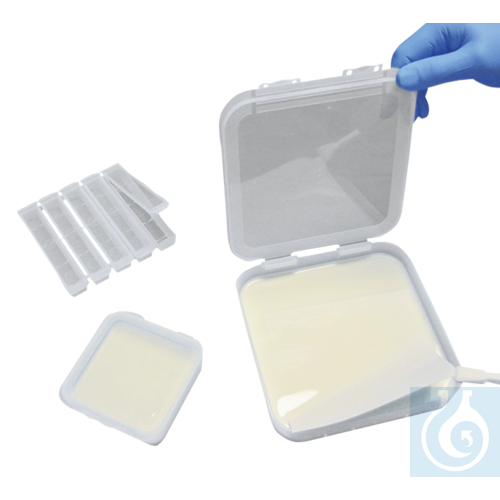 neoChoice Blotting-Behälter, PP, 165 x 165 mm ( mit Zubehör), 5 Stk/Pack