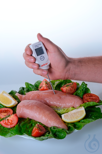 TTX 110, Thermometer type T with probe