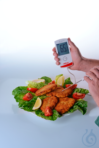 TTX 200, kernthermometer type T