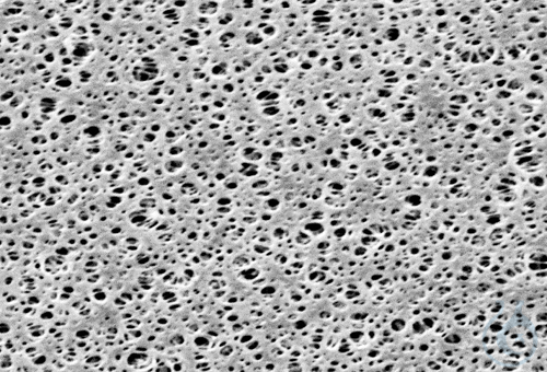 PESMembran;0,2m;90mm;50pc