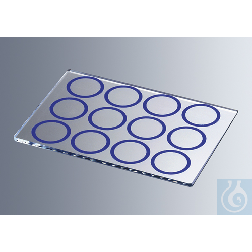 Microscope slides with 12 blue rings,