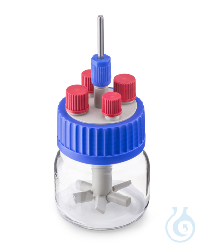DURAN® GLS 80® Stirred Bottle Reactor System, wide mouth