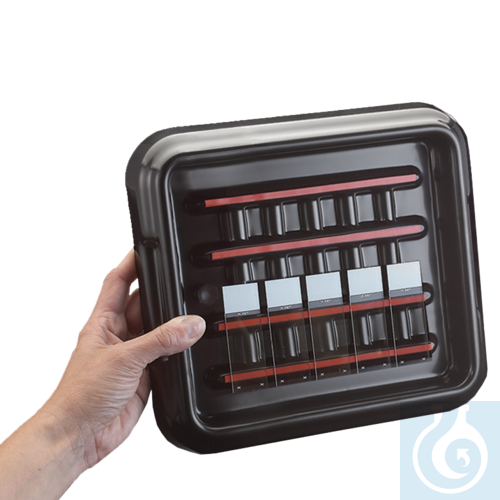 neoChoice Färbekammer mit schwarzem Deckel f. 10 Objektträger