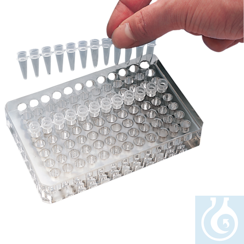 neoLabLine Acrylglas-Kühler f. PCR-Gef., 96 (8 x 12) Plätze