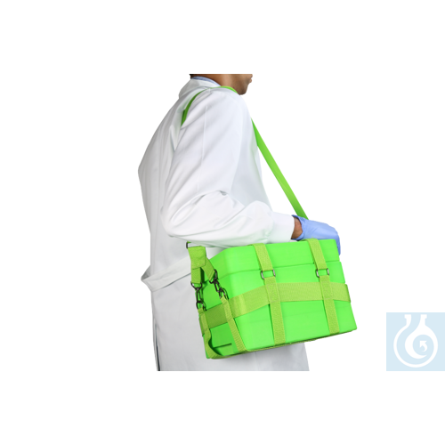 CellCamper® Maxi Cooler Transport Box including Frozen cooling unit (-20°-0°C)