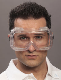 Full View Goggles CLARO