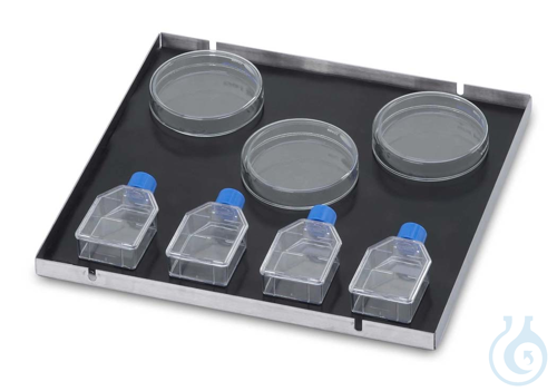 Culture Platform with Mat, 46 X 46 cm
