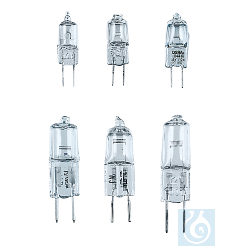 neoChoice Niedervolt-Halogenlampe 12 V/75 W, Sockel G 6,35
