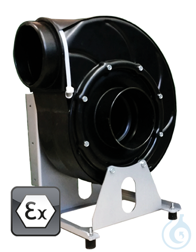 Fan EP.VE.29424 explosion-proof: EX II 3/3G Ex h IIB T4 Gc X