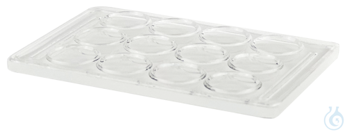 Glass spot plates with 12 numbered cavities ca. 89x57x4 mm