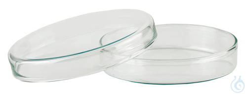 Petri dishes of glass with cover Ø x H ca. 4 x 1,2 cm