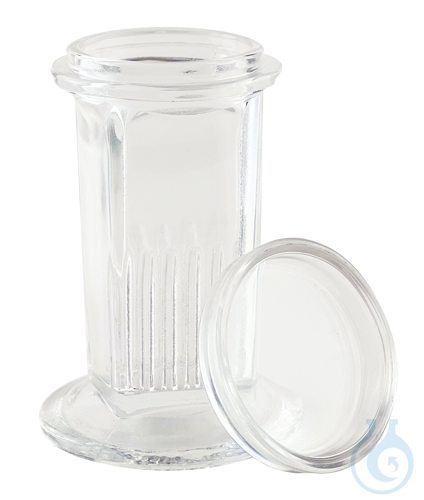 Coplin staining jar of glass, with cover
