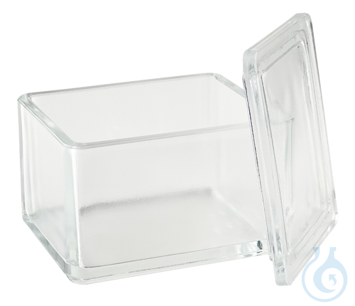 Staining trough of glass with grooved cover ca. 105x85x80 mm