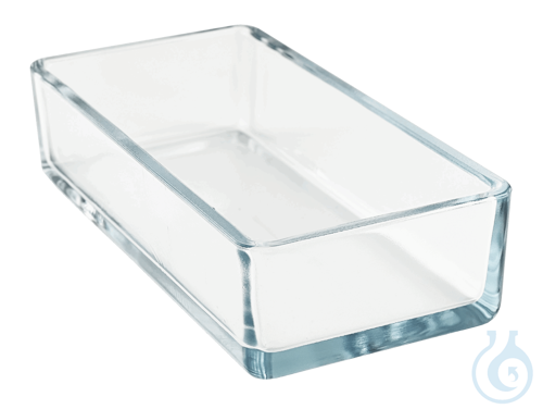 Instrument trays of glass, without cover 20 x 10 x 5 cm