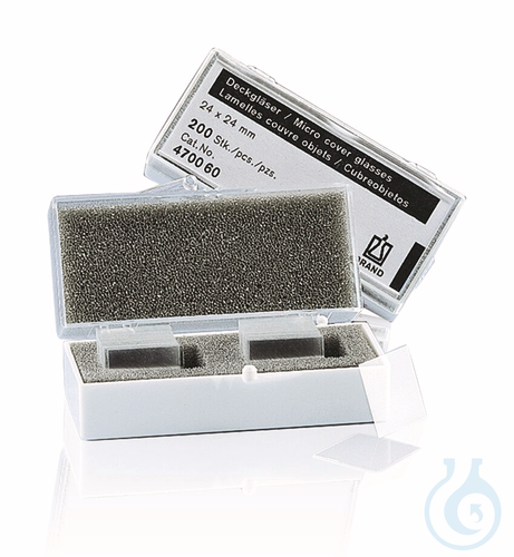 Cover glass Boro water-white thick. no 1, 24 x 60 mm, rectangular, water-white