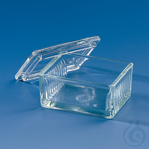 Stain.trough Schiefferdecker with lid, f. 10 slides 76 x 26 mm, soda-lime glass