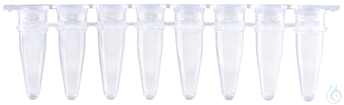 Expell qPCR 8-strip Tube 0.2 mL w/ cap, clear, bag, Case / 5 x 10 x 12 pcs.