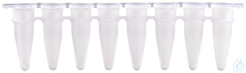 Expell qPCR 8-strip Tube 0.2 mL w/ cap, white, bag, Case / 5 x 10 x 12 pcs.