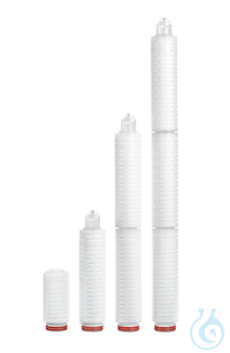 Sartopure IND Cartridge;5m;10'';25pc