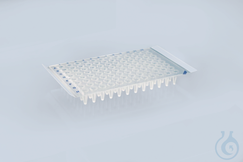 Sealing film for plates PET, peelable, self-adhesive, 100 sheets
