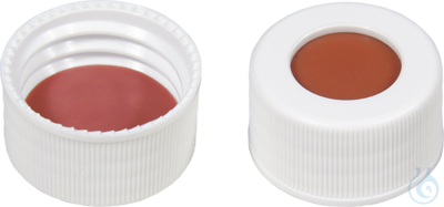 SCB N24-H, w, RR or/TEF, 45°, 2.5