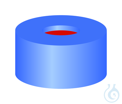 SR N11-H, bl, PTFEr/Sil w/PTFEr, 50° 1.0