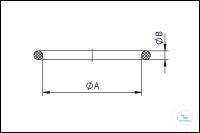 Viton Gasket, DN 16 CF
