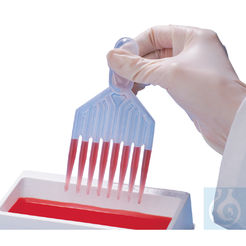 neoChoice Einmal-8-Kanal-Transferpipette, unsteril, 25 St./Pack