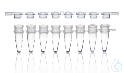 PCR-tubes and caps, strip of 8 colorless, flat cap for qPCR, 250 tubes + 250 cap
