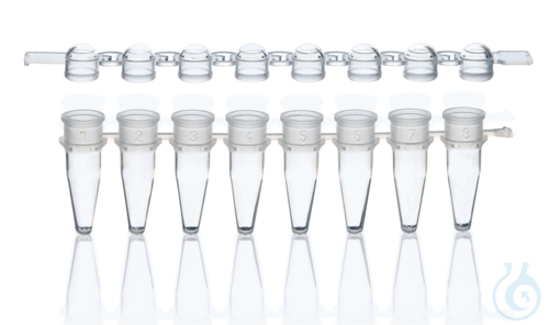 PCR-tubes and caps, strip of 8 colorless, domed cap, 250 tubes + 250 caps