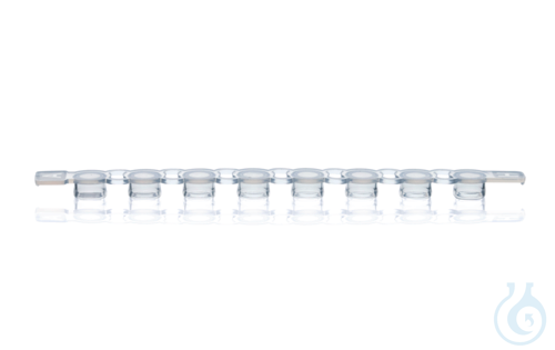 PCR caps strip of 8 PP flat f. PCR-tubes, clear, for qPCR, pack of 125